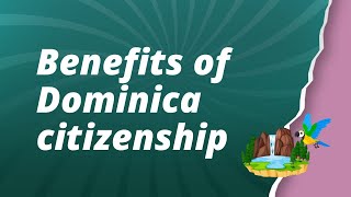 Dominica Citizenship by Investment - Benefits of Alternative Citizenship in Dominica