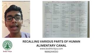 Recalling various parts of Human Alimentary Canal-