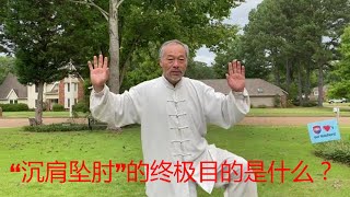 “沉肩坠肘”的终极目的是什么？太极拳的劲在身体的什么部位？中国传统武术太极、形意、八卦三大内家拳之首的太极的魅力