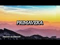 [FREE] Primavera - Twenty Fingers x Mr Bow -type beat afrob instrumental prod by HD Mercion