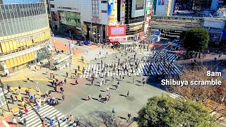 [Tokyo Shibuya scramble view + BGM Relaxing Music] 시부야 가스토 창가자리 전망 東京渋谷ガスト