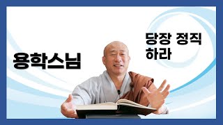 용학스님 법문 - 당장 정직하라