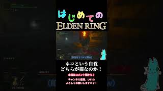 【ELDENRING】＃12 はじめてのエルデンリング！番犬VSネコ人間編