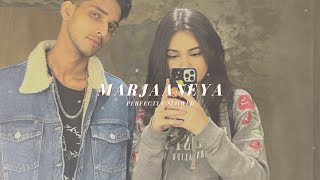 Marjaaneya - Perfectly Slowed + Revarb | Talha Anjum | Somee Chohan