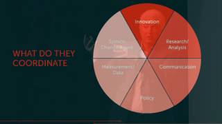 Join the Band: Meditations on Social Change | Jeffrey C. Walker | TEDxWashingtonSquare