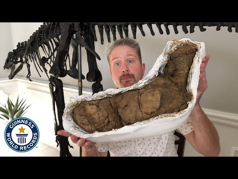 What is the world record for heaviest poop?