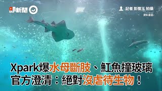 Xpark爆水母斷肢、魟魚撞玻璃　官方澄清：絕對沒虐待生物！