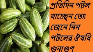 পটল খাওয়া শরীরের পক্ষে কতটা ভালো?