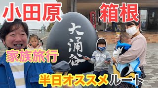 【家族日帰り旅行vlog】神奈川県箱根町/星の王子様ミュージアム/大涌谷/観光/グルメ/おすすめ