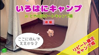 リピート確定キャンプ場！いろはにキャンプinとやの沢オートキャンプ場(後編)【いろはさんとゆかいな仲間たち】