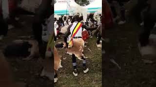 Very Unique Bwola Dance from Patongo, Agago. Raw Recording