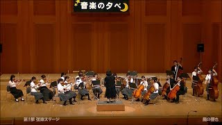 ①2018-07-22 平城高校 吹奏室内楽部 音楽の夕べ 第1部 弦楽ステージ