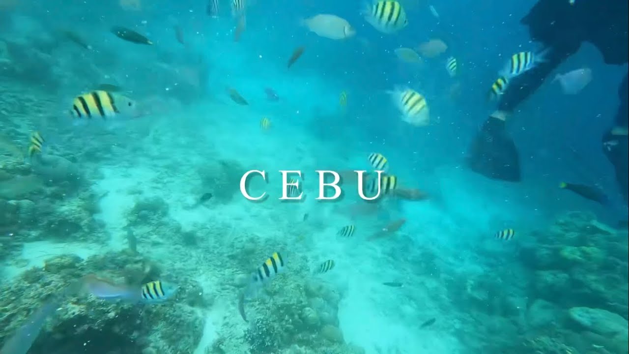 Cebu Vlog Youtube