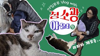 아임푸푸 VLOG/라피타 제모기 후기/여자친구가 집나가면 청소광이되.