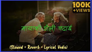 Mayako Doli Chadhai -Yash Kumar Pabita Pariyar (Slowed+ Reverb+Lyrical vedio)#nepalisong#mayakodoli