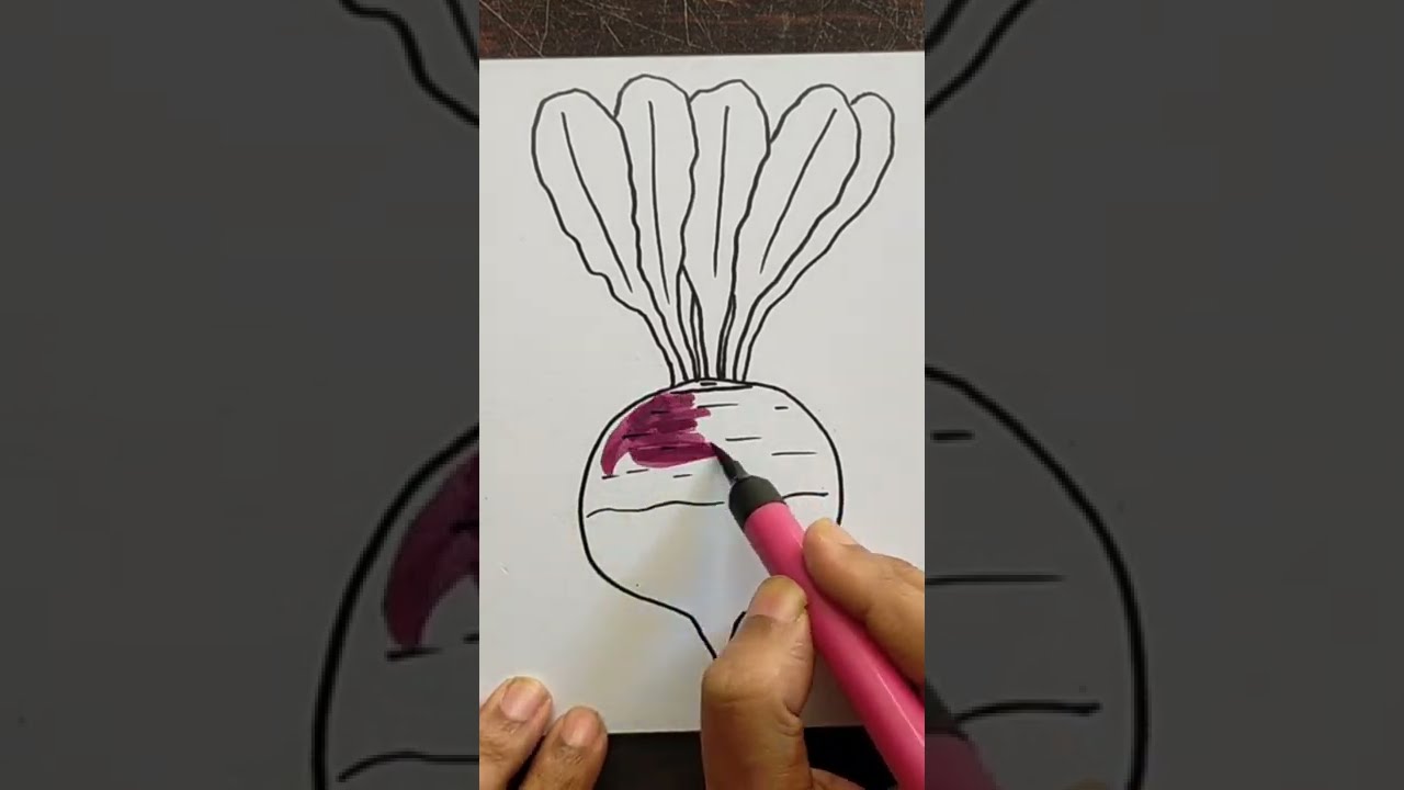 How To Draw Turnip Easy | Turnip Step By Step Easy Drawings | Easy ...