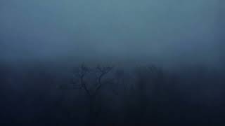 ethel cain - amber waves (slowed + reverb into a hazy mess)
