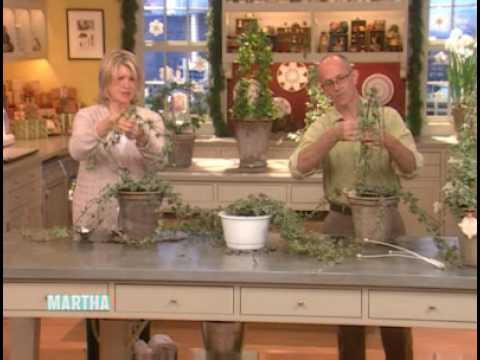 Ivy Topiaries ⎢Martha Stewart Ivy Topiaries ⎢Martha Stewart