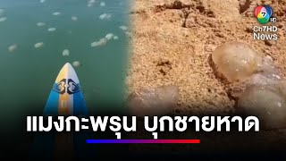 เตือน ! แมงกะพรุนถ้วยหลากสี บุกชายหาดจอมเทียนพัทยา | สนามข่าวเสาร์-อาทิตย์