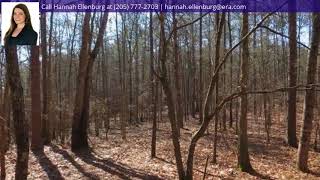 3442  Co Rd 201, Delta, AL 36278 - MLS #810431