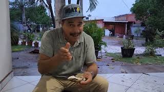 @ElGatoParadoOficial tarde de lluvia comiendo ostiones