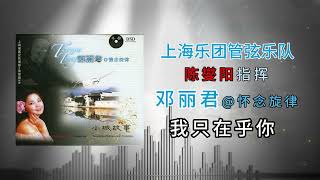 上海管弦乐团 - 我只在乎你