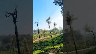 Valparai Beauty Captured in a Single Shot | #explore #travelvlog