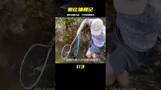 鮑比驚天一躍，水塘內抓獲15斤的亞洲鯉魚 #钓鱼 #捕鱼 #户外捕鱼 #河中巨怪 #杰瑞米瓦德