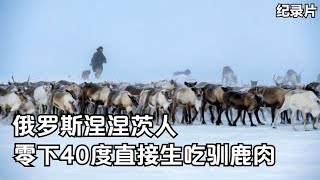 俄罗斯涅涅茨人：零下40度生吃驯鹿肉，一次灾难损失15000头驯鹿 1