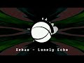 Lonely Echo