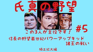 信長の野望嵐世紀　諸王の戦い　　氏真の野望#5