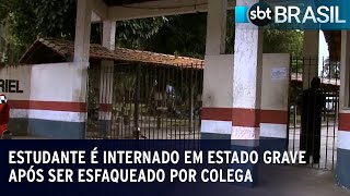 Estudante é internado em estado grave após ser esfaqueado por colega | SBT Brasil (31/03/23)