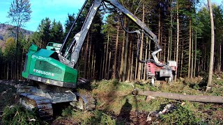 NEUSON 243HVT - forest harvester 🌳🌲