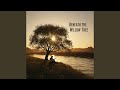 Beneath the Willow Tree