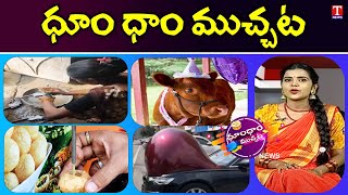 Weekend Dhoom Dhaam | Birthday Celebration To Cow | China Cars swollen | Pani Puri Mission | TNews