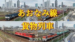 あおなみ線貨物列車【EF64-1046】【DD51】ほか［2020.9.16］