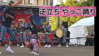 徳島 阿波おどり 粋なドカドカ系『一心大道』逆立ちやっこ踊りが凄い！