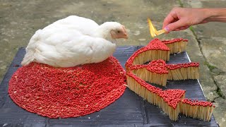 Match Chain Reaction🔥VOLCANO ERUPTION (With Chicken)😱 Amazing Fire Domino
