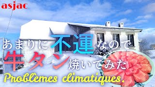 【フランス古民家再生】#71 人生山あり谷ありって言うけどこれはどの辺りなんだろうか？Problems climatiques.#フランス #古民家 #renovation #日仏夫婦