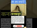 कनखजूरा 🐛 से जुड़े रोचक तथ्य centipede in hindi things you probably didn t know shorts