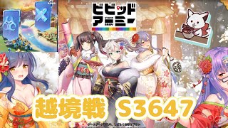 【ビビッドアーミー】越境戦　S3647