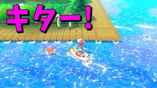 [ポケモン Let's Go!ピカチュウ・イーブイ]（色違い）ひたすら待ちつづけた結果（part56）