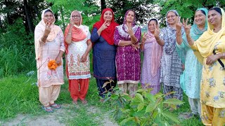 ਇੱਕ  ਪੰਥ ਦੋ ਕਾਜ਼/ Multi telented women(all colour of my Life)