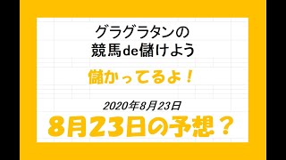 グラグラタンの競馬予想！？　８月２３日（日）分