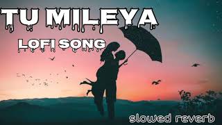 Tu Mileya lofi song ( slowed reverb ) darshan raval #trendingsong2024