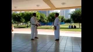 Shotokan Karate - basic application