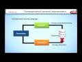 Learn Oracle | How to use the Transactional Control Statements in SQL