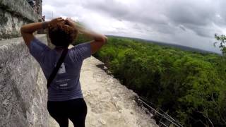 Chocolate Covered Chopstix - Tikal Adventures