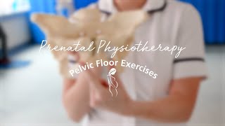 Prenatal Physiotherapy: Pelvic Floor Exercises