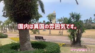 南房パラダイスから房総の駅とみうら 南国の植物・動物園・海鮮丼 〜房総いいとこ一度はおいで